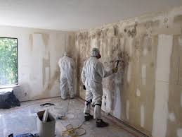 Trusted Blackville, SC Mold Removal Experts